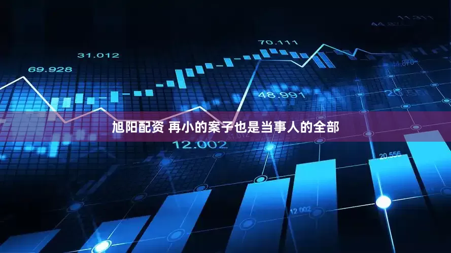 旭阳配资 再小的案子也是当事人的全部