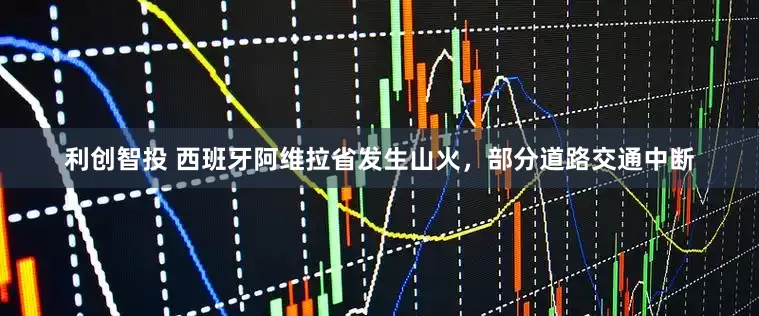 利创智投 西班牙阿维拉省发生山火，部分道路交通中断