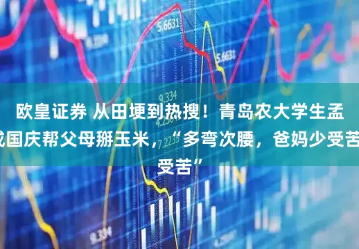 欧皇证券 从田埂到热搜！青岛农大学生孟成国庆帮父母掰玉米，“多弯次腰，爸妈少受苦”